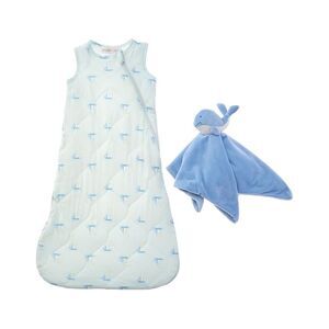 Shabby Chic Boys  2Pc Sleep Bag Set, Blue